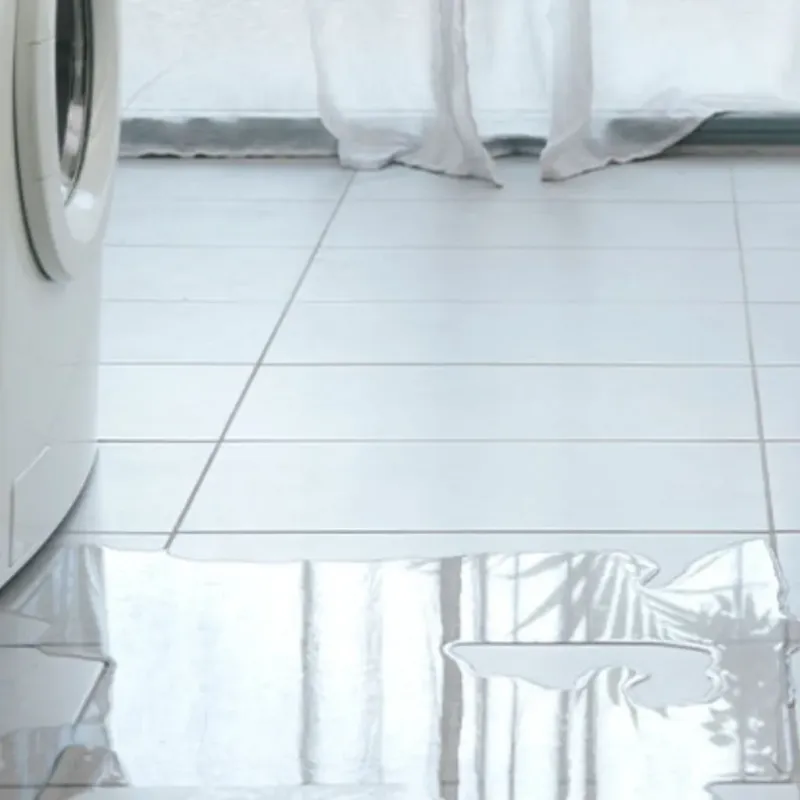 Appliance Leak Cleanup in Prattville, AL