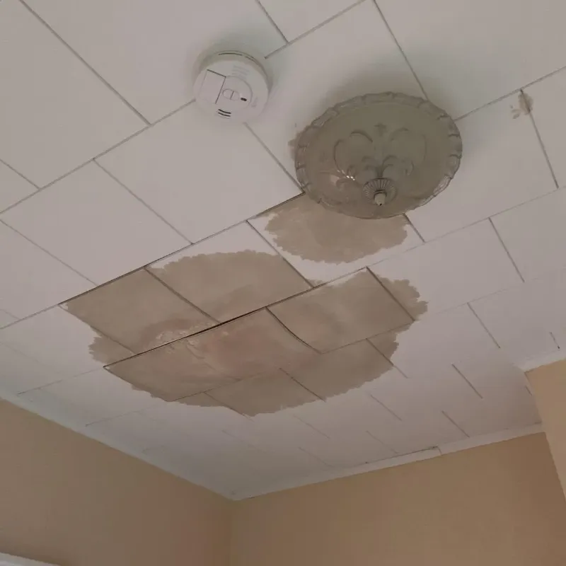 Ceiling Water Damage Repair in Prattville, AL
